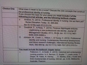 The nursing profession