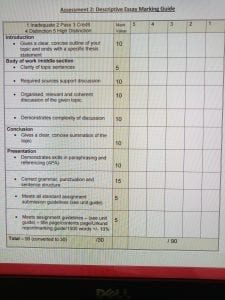 The nursing profession