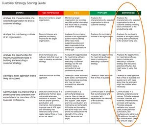 Develop a customer strategy that could be used in the selling process for a product 