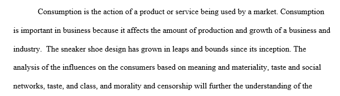 Consumption of the Sneaker Design