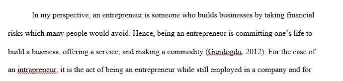 Entrepreneur vs. Intrapreneur Analysis