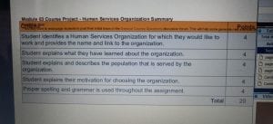 Human Services organization