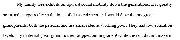 Social Stratification