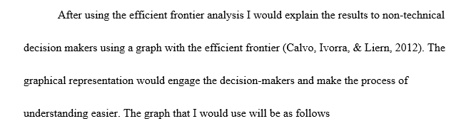 Efficient frontier analysis in strategic risk management
