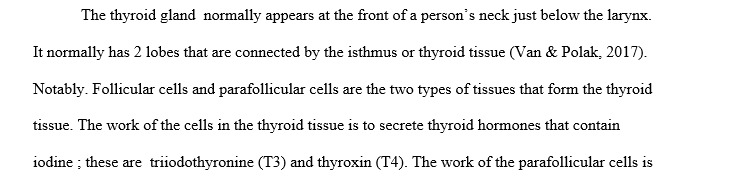 Endocrine system