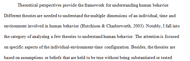 Exploring Theoretical Perspectives