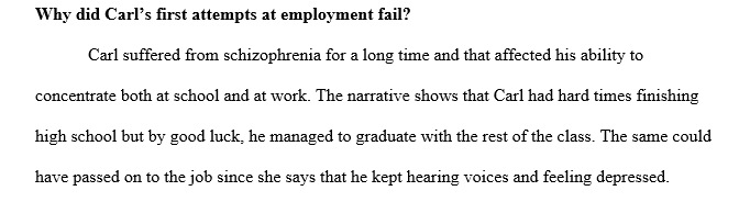Mental health vocational training