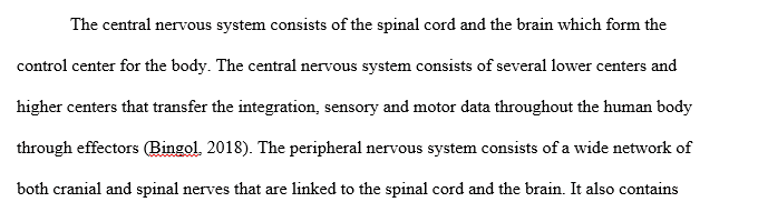 Nervous System