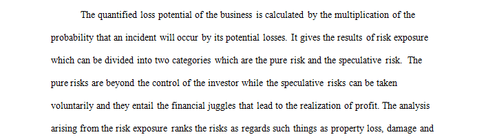 Risk assessment report