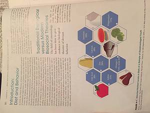 How the field of criminology has studied the link between nutrition and criminality