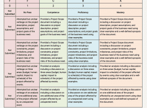 Determine the project scope and project schedule for Super Packs