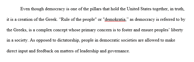 American Political Systems Essay 