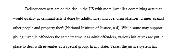 Identify at least two (2) juvenile delinquency reduction efforts / programs currently in operation in your community.