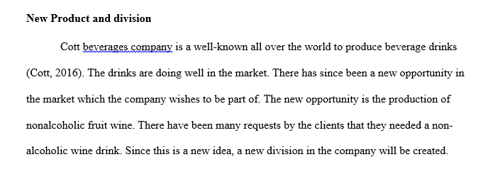 Propose a new product or service for the new company division