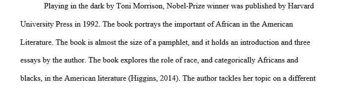 Write a summary of Morrison Playing in the Dark