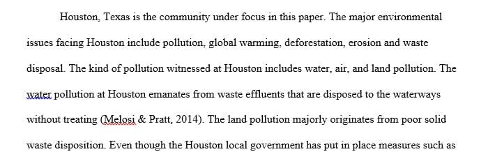 List the three most significant environmental issues facing the community.
