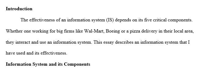Describe an information system you have used at work or in your daily life