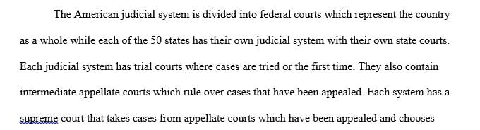 Examine and evaluate the American criminal court system