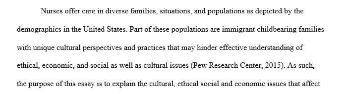 Explain the ethical social issues impacting the care of childbearing families in the United States
