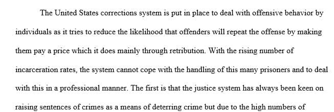 Suggest two (2) actions that the corrections system can take in order to attain higher levels of professionalism.