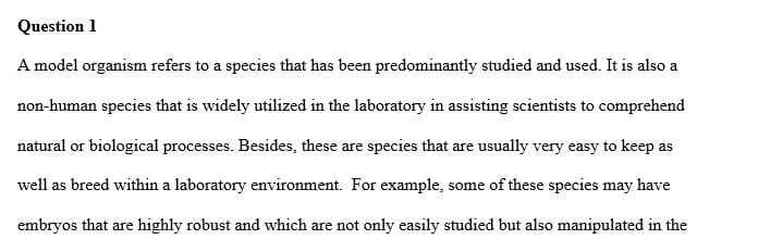 What is a model organism and why is Saccharomyces cerevisiae so often used as one