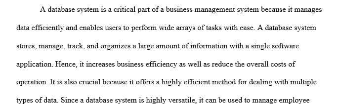 Why database system is a critical component of business information systems