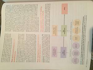 Explain risk assessment and risk management