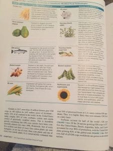What are the arguments for and against genetically modified crops
