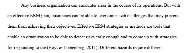 Describe the importance of ERM usage in organizations
