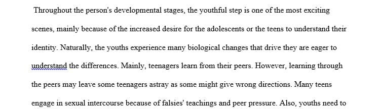 Describe the teaching experience and discuss your observations.