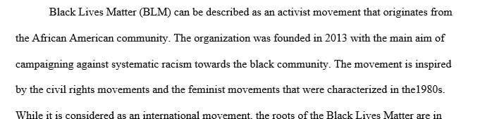 Select a domestic terror group that has been active in recent years and describe it