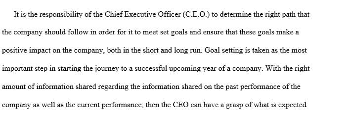 As the CEO you are responsible for establishing benchmarks or performance goals for your organization