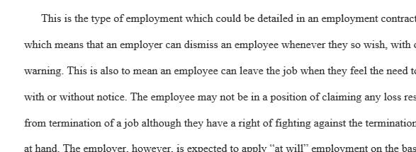 As the director of HR for Golden Hospital what concerns would you have over Patti's termination
