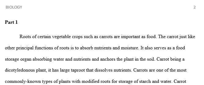 Describe the anatomy (structure) and physiology (function) of a plant.