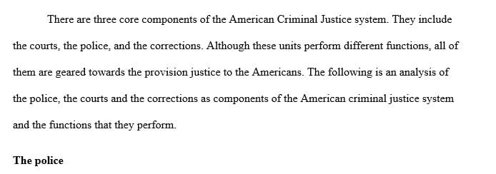 Describes the three core components of the American criminal justice system