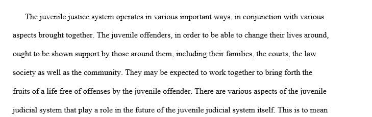  Future of the Juvenile Justice System Proposal Presentation