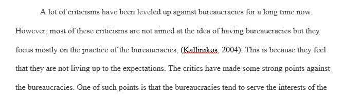 List the points made by critics against public bureaucracies
