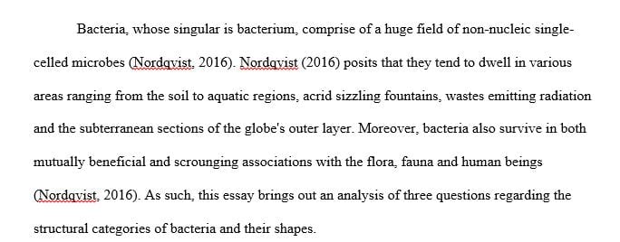 Research the three structural categories of bacteria and give an example of a disease