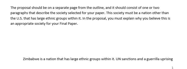 Select a particular country and analyze the ethnic stratification within that society.