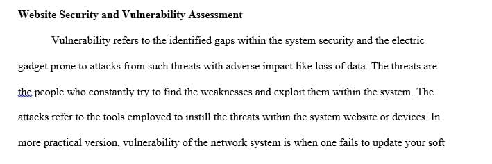 What is the difference between software testing and website vulnerability and security assessments