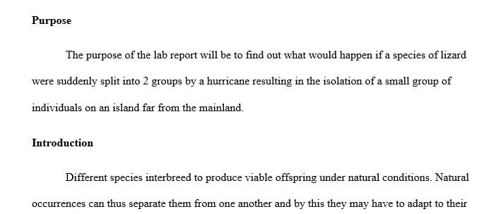 What would happen if a species of lizard were suddenly split into 2 groups by a hurricane
