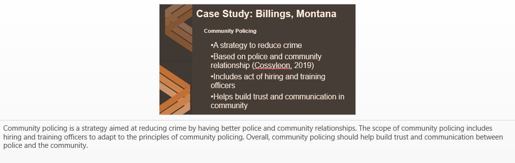 Create a presentation of 10-12 slides delineating your analysis of the case study using the SARA model.