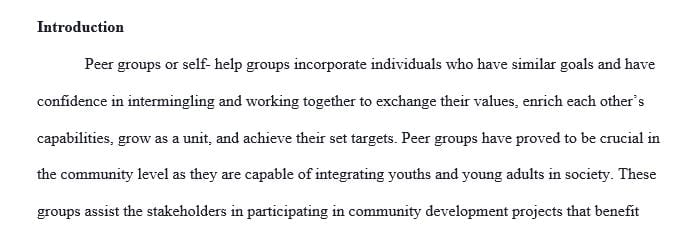 Focus on Mentorship Programs for youth and young adults