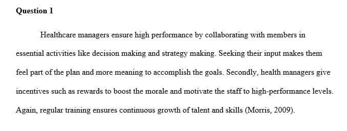 How does a healthcare manager ensure high performance