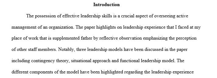 Concrete Experience: Objectively describe the leadership experience