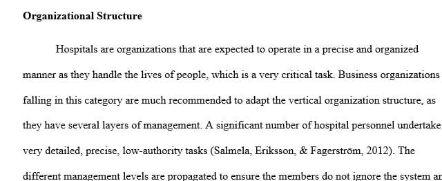 Assignment 2: Organization and Management of a Healthcare Facility