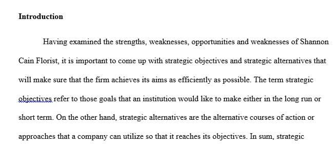 Use the information to create a list of strategic objectives.