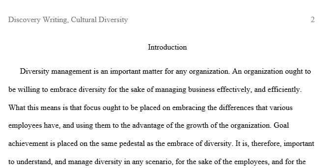 What is Cultural Diversity?; Understanding Individual Perspective on Diversity