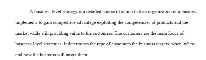 Evaluate potential business level strategies for the organization.