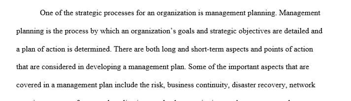 Explain the management plan for conducting IT audits